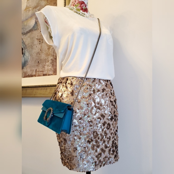 Joie Sequin Nude Tonal Mini Skirt $428 - Picture 3 of 13